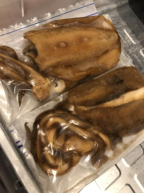 日記内の写真