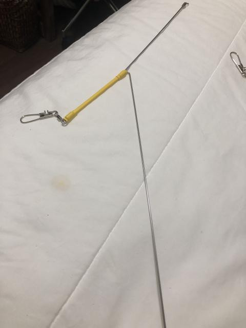 日記内の写真