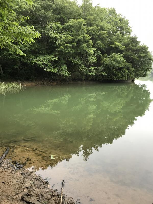 日記内の写真