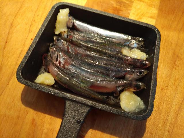 シコイワシのレシピ食べ方捌き方 本牧 大黒ビギナー向け 釣りペディア