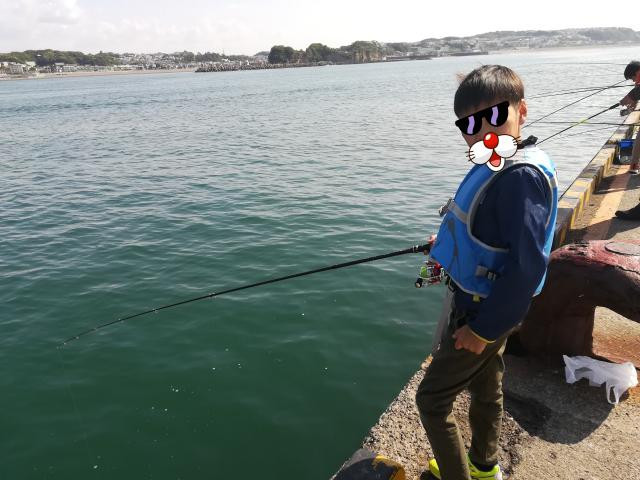 江ノ島で子供と一緒にサバやイワシをサビキ釣り 釣りペディア