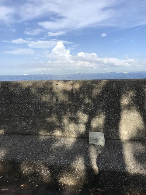 日記内の写真