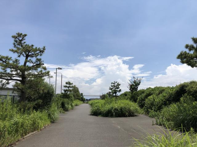日記内の写真