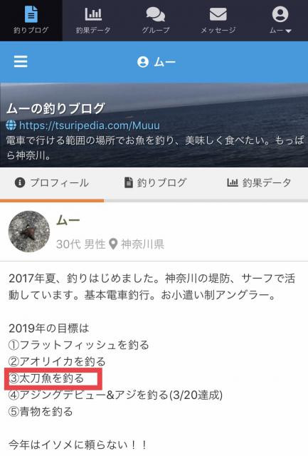 日記内の写真