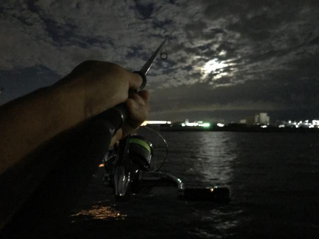 日記内の写真