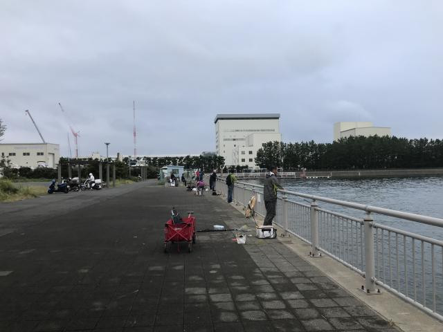 日記内の写真