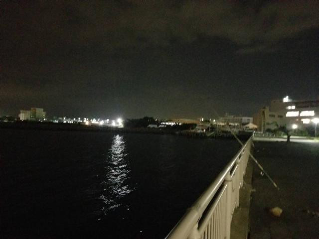 日記内の写真