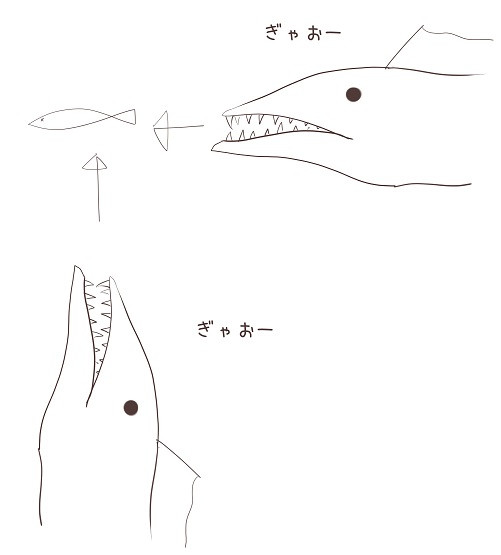 日記内の写真