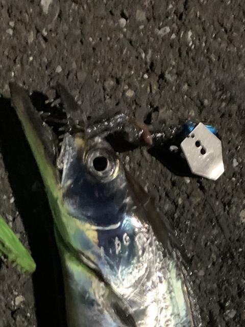 日記内の写真