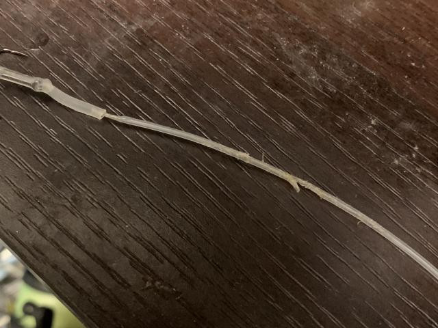 日記内の写真