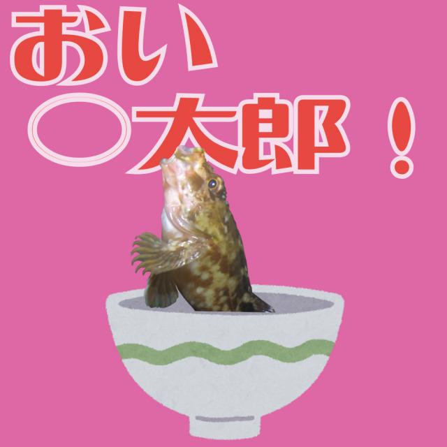 日記内の写真