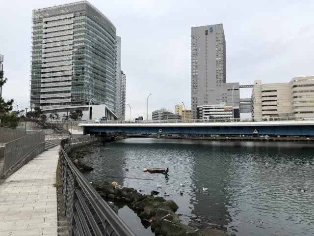 日記内の写真