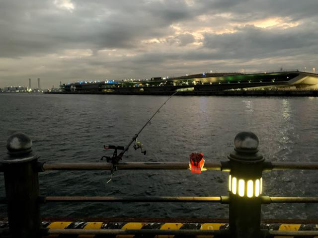 日記内の写真