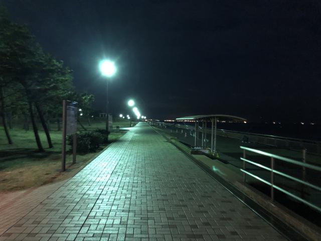 日記内の写真