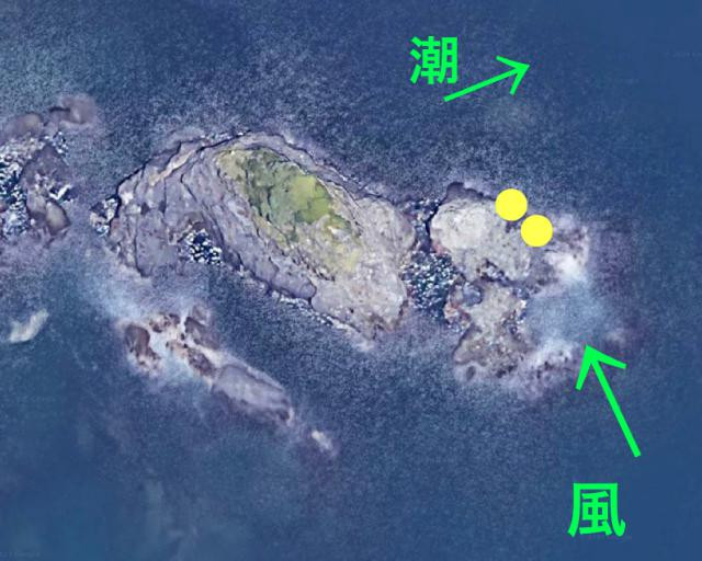 日記内の写真
