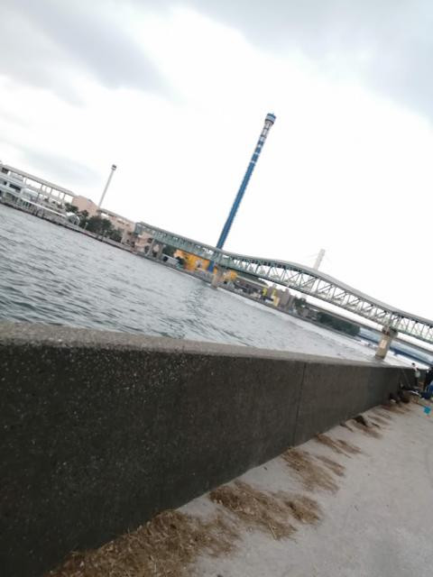 日記内の写真