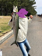 日記内の写真
