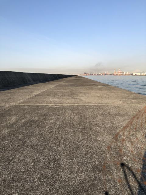 日記内の写真