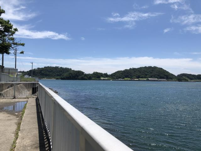 日記内の写真