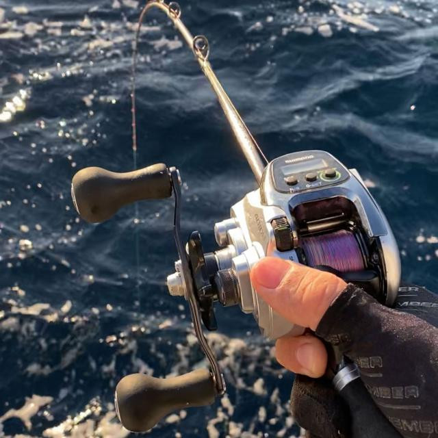 電動リールのススメ（東京湾・相模湾中心） - 釣りペディア