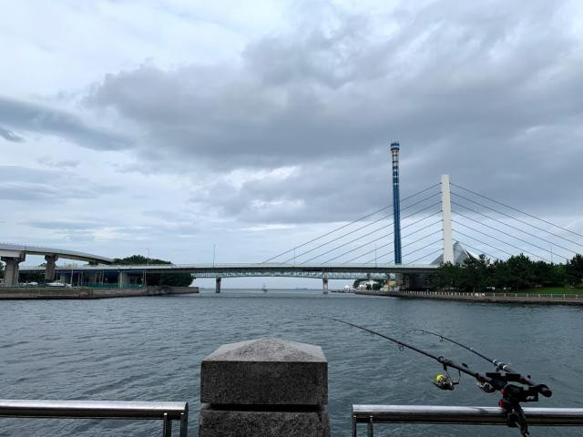 日記内の写真