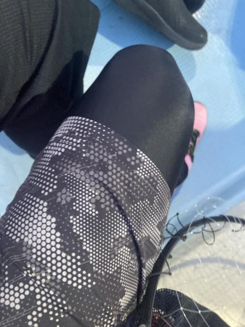 日記内の写真