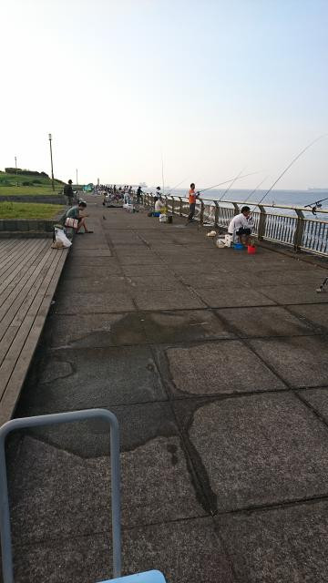 日記内の写真