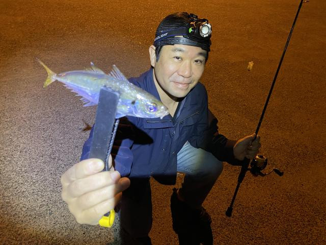 日記内の写真
