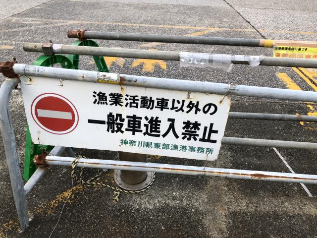 日記内の写真