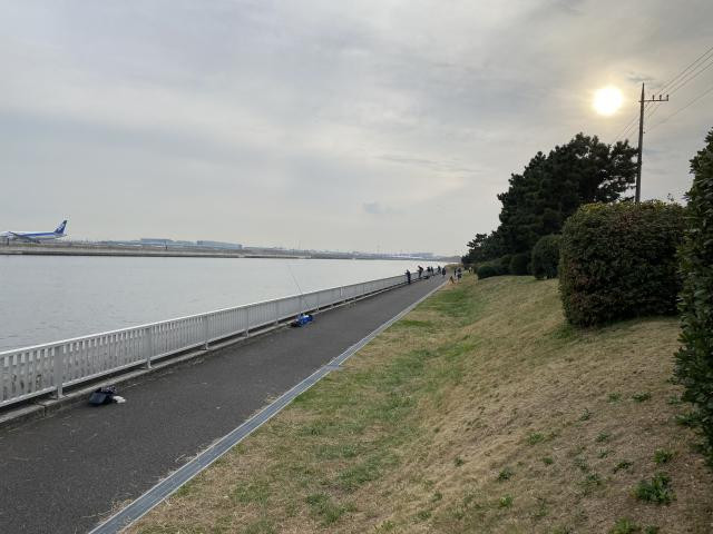 日記内の写真
