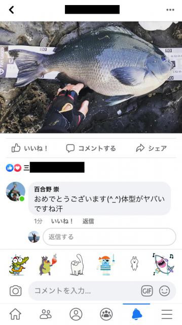 日記内の写真