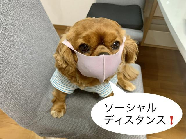 日記内の写真