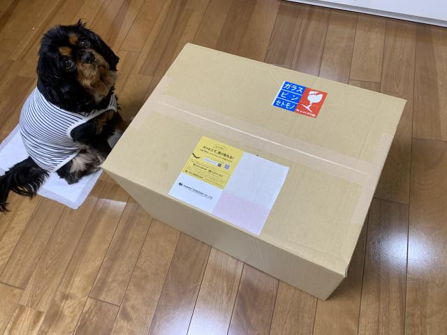 日記内の写真