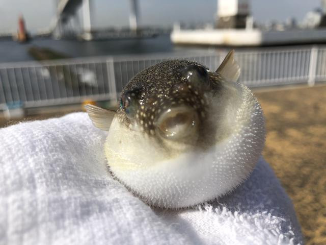 日記内の写真