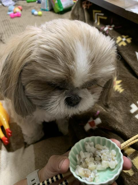 日記内の写真