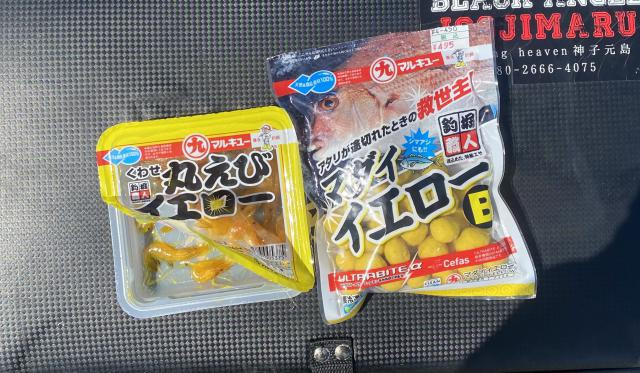 日記内の写真