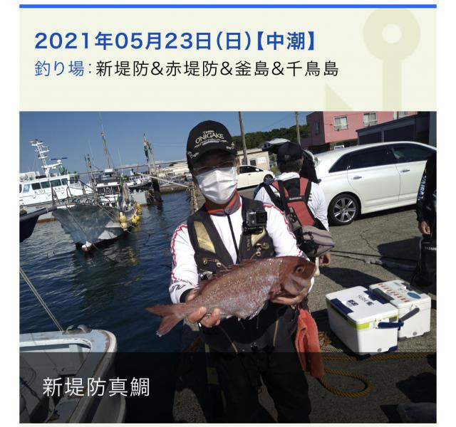 日記内の写真
