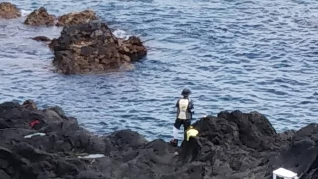 日記内の写真