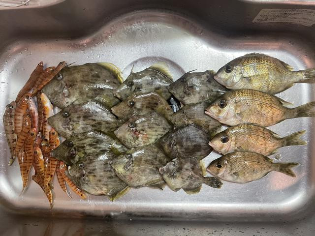 日記内の写真