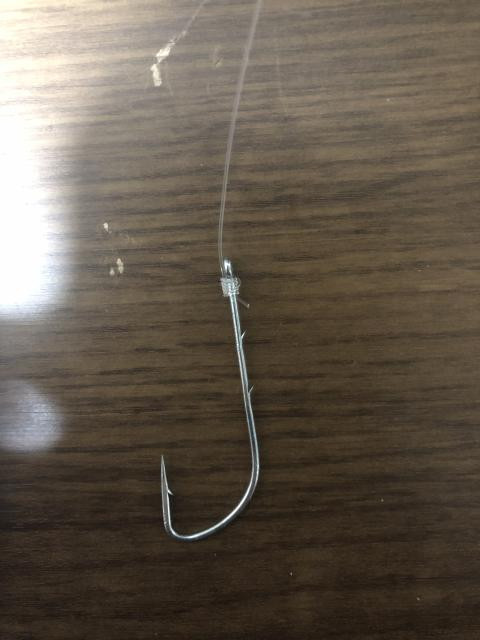 日記内の写真