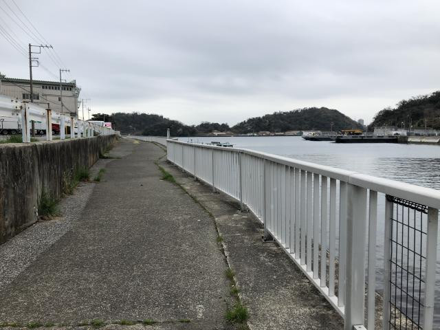 日記内の写真