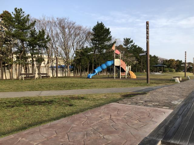 日記内の写真