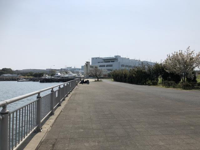 日記内の写真