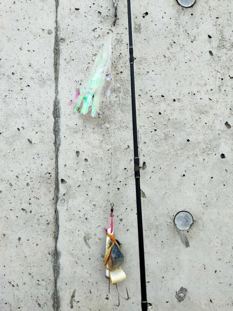 日記内の写真