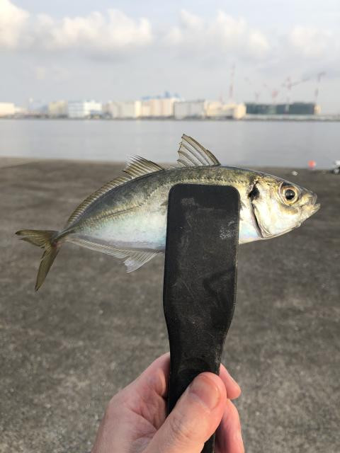 日記内の写真