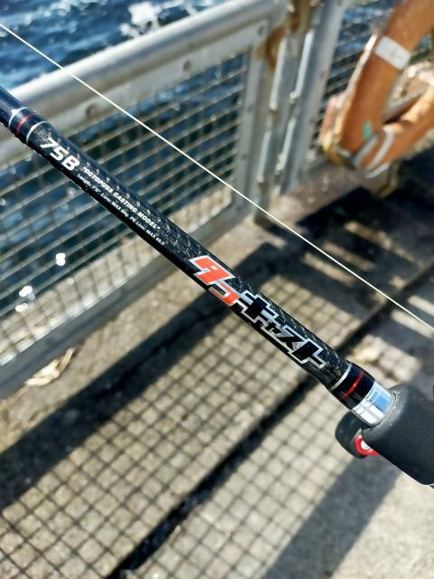 日記内の写真