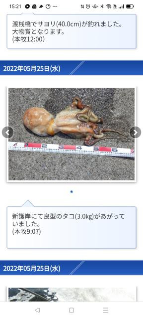 日記内の写真