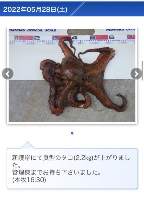 日記内の写真