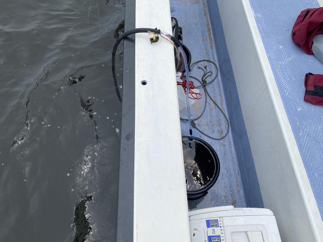 日記内の写真
