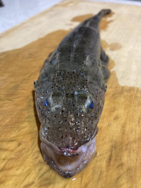 日記内の写真